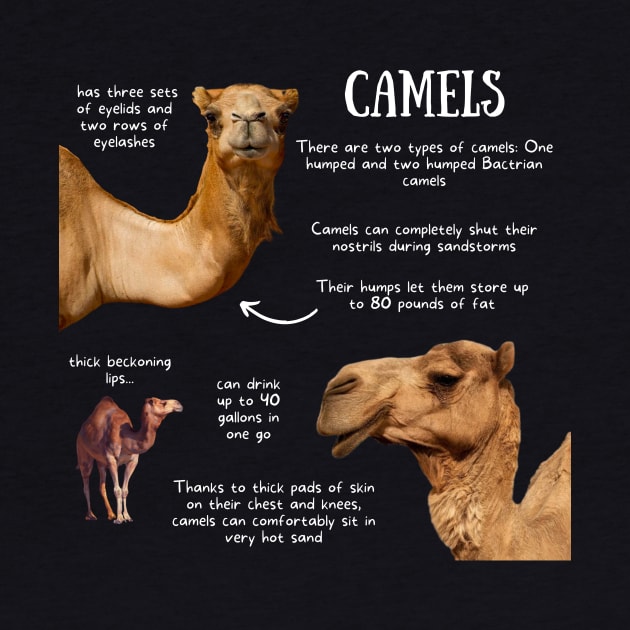 Animal Facts - Camel by Animal Facts and Trivias